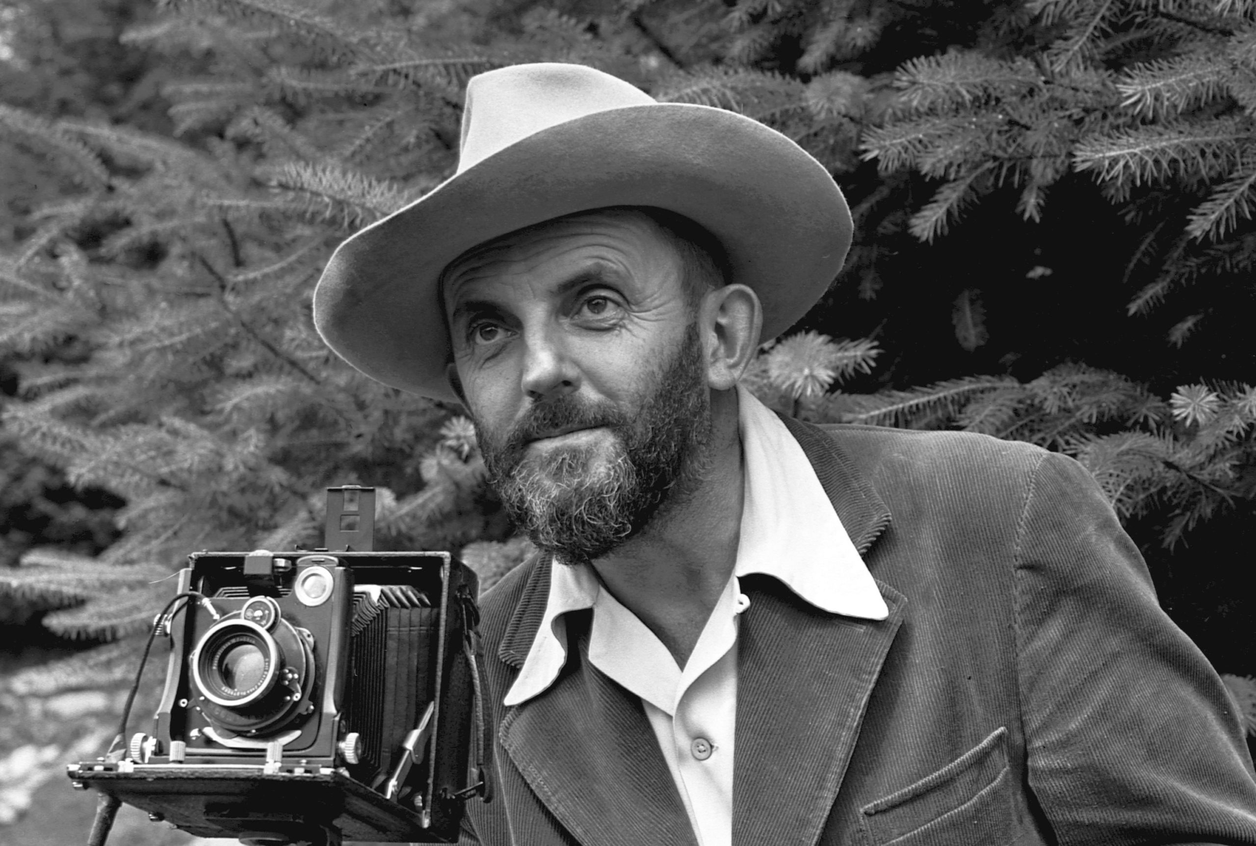 Ansel Adams: the politics of natural space