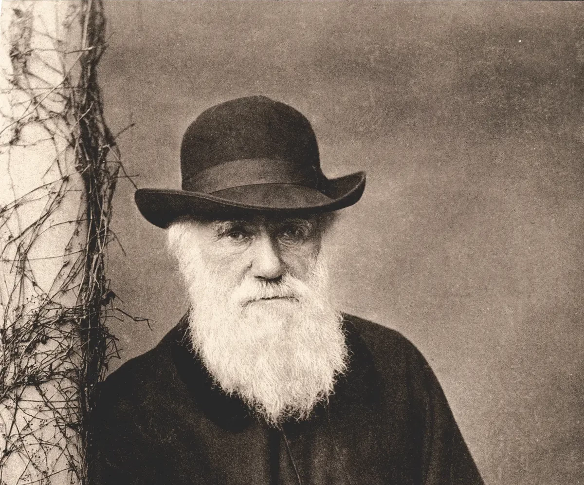 Life, chance, and Charles Darwin