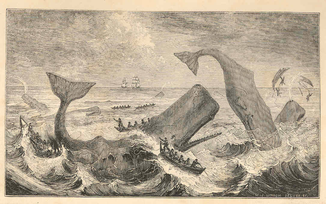 Two stray notes on “Moby-Dick”