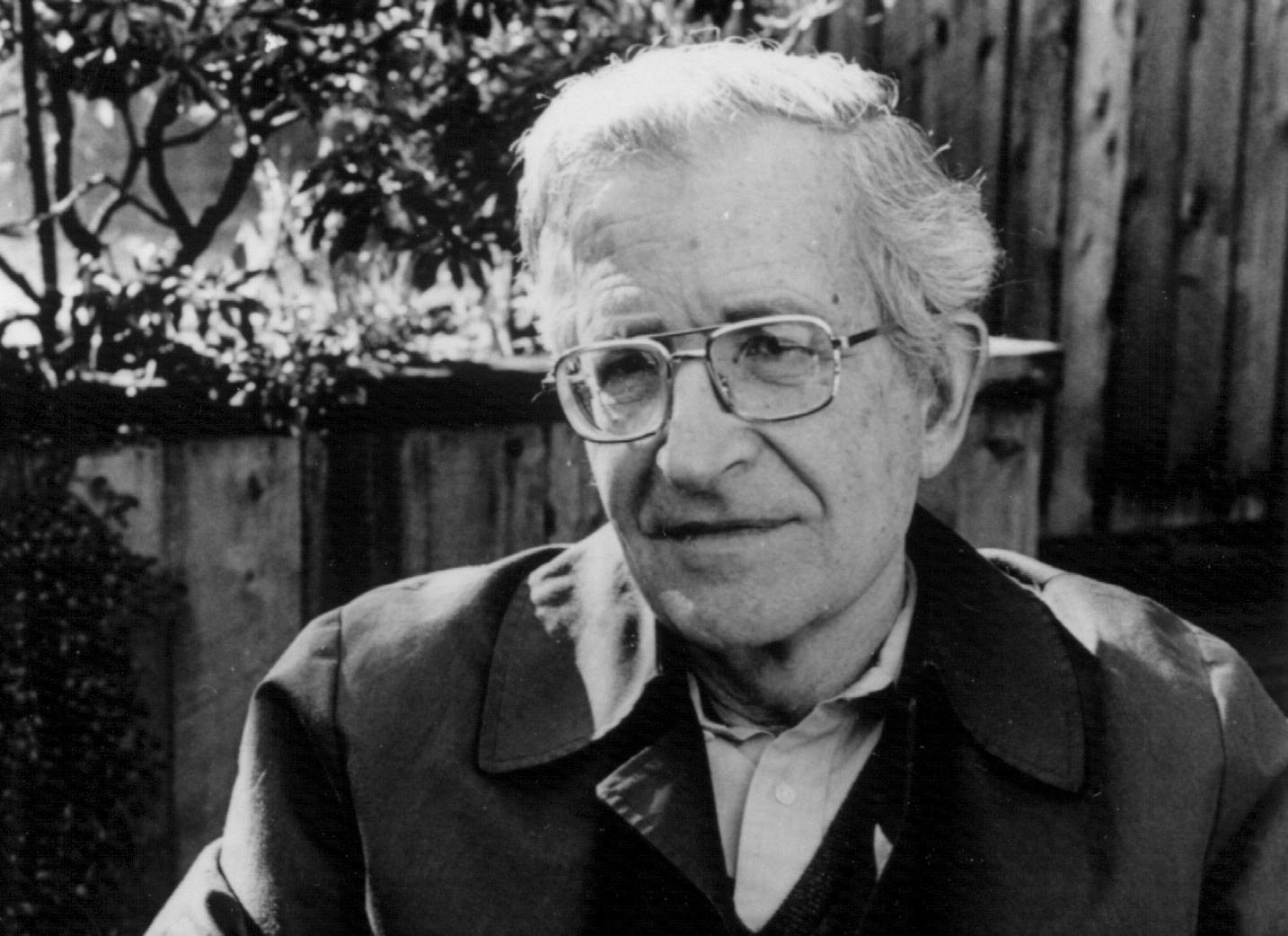 Censoring “20th-Century Culture”: the case of Noam Chomsky